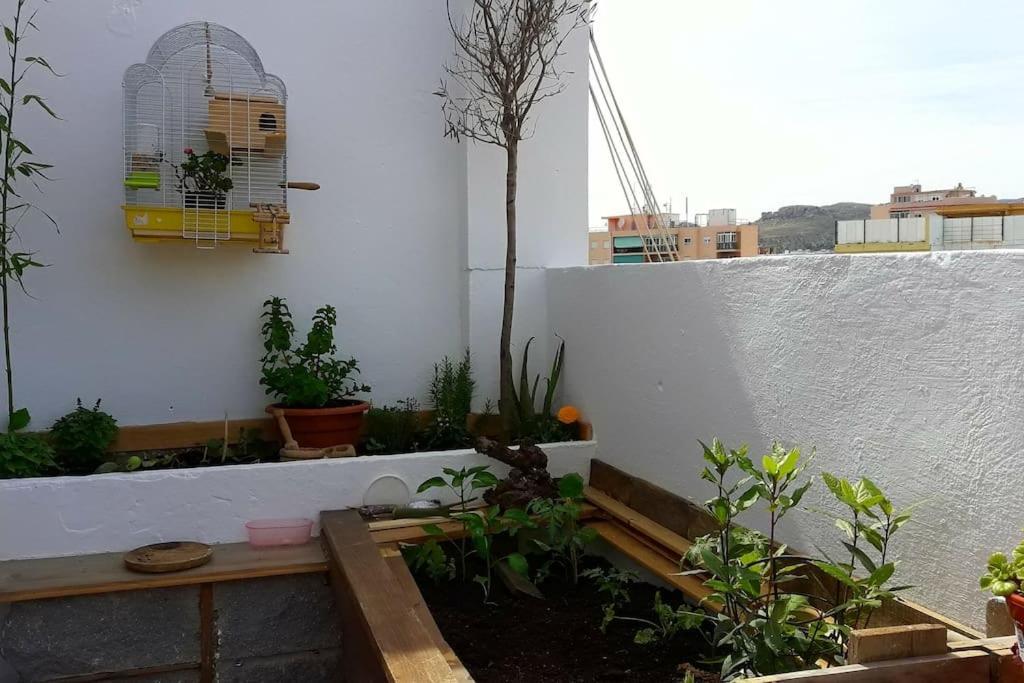 Penthouse Terrace Málaga