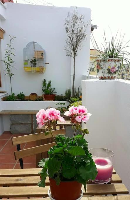 Apartamento Penthouse Terrace *