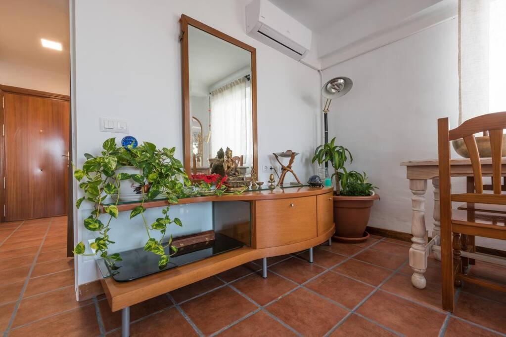 Apartamento Penthouse Terrace *