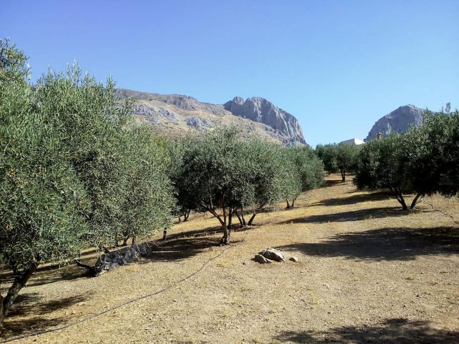 El Ventorrillo La Alegria Malaga