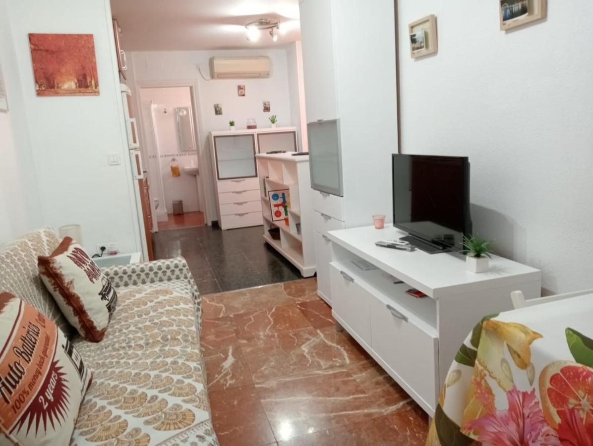 Apartamento Apartamento Con Encanto 'larios Studio' *