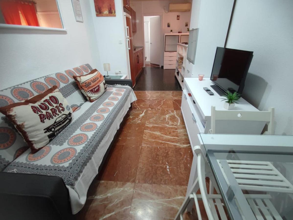 Apartamento Apartamento Con Encanto 'larios Studio' *