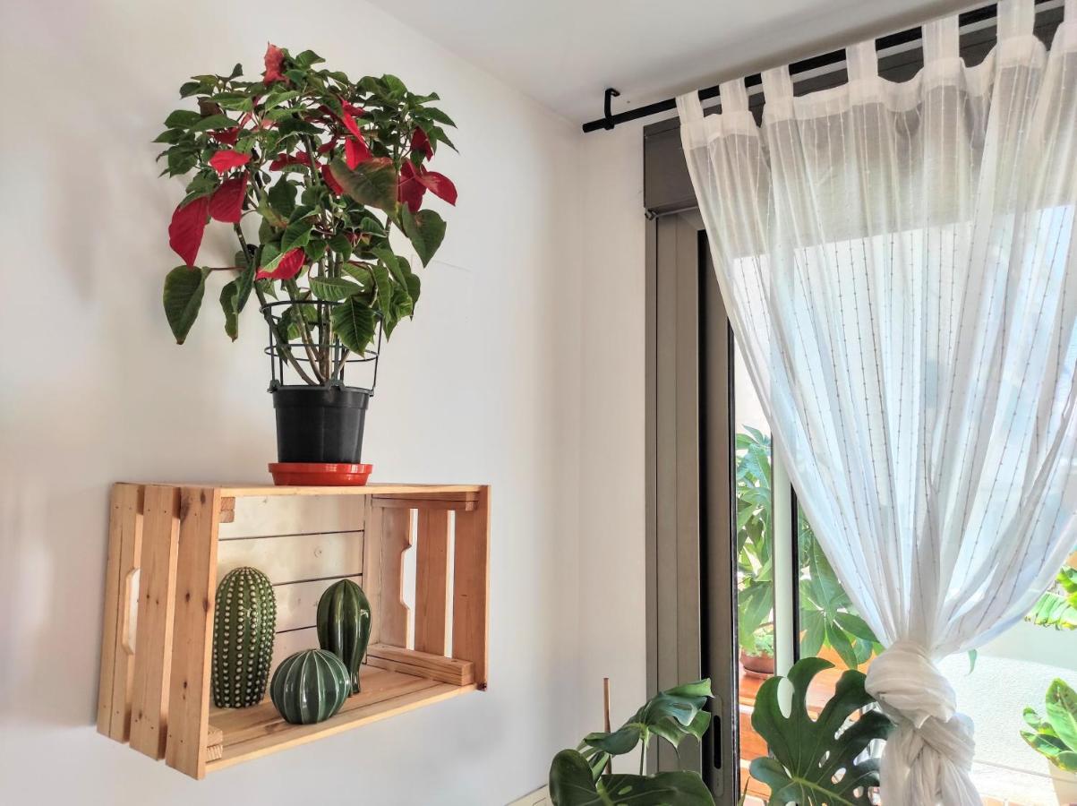 Manuela Nogales Apartments! Malaga