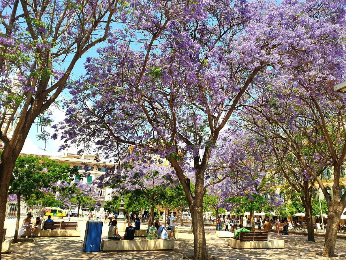 Sunny Malaga Centre Flats, 2 Options, With Balcony Or Terrace Apartment Malaga