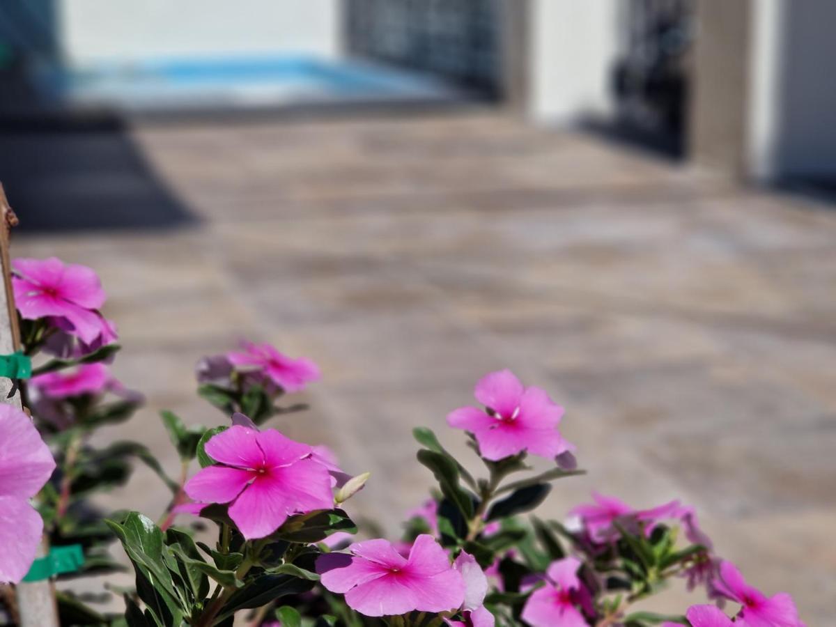 Villa Del Parque Flats Balneario De Pina Malaga