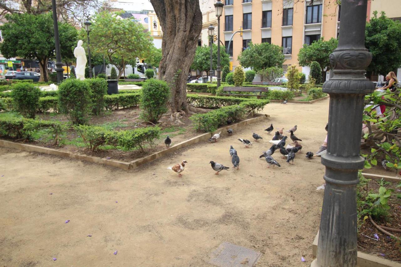 Apartment Del Parque Flats Monkey 1
