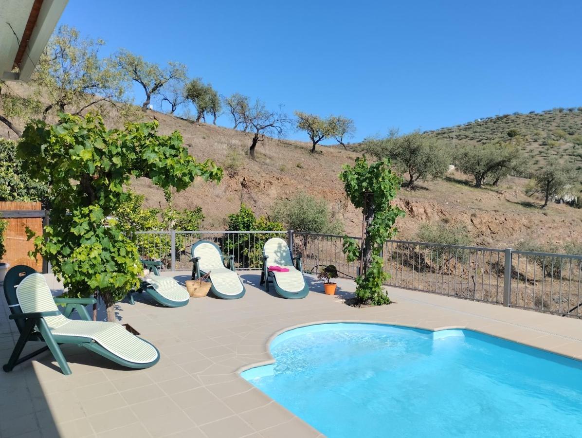 Vinas Villa Malaga