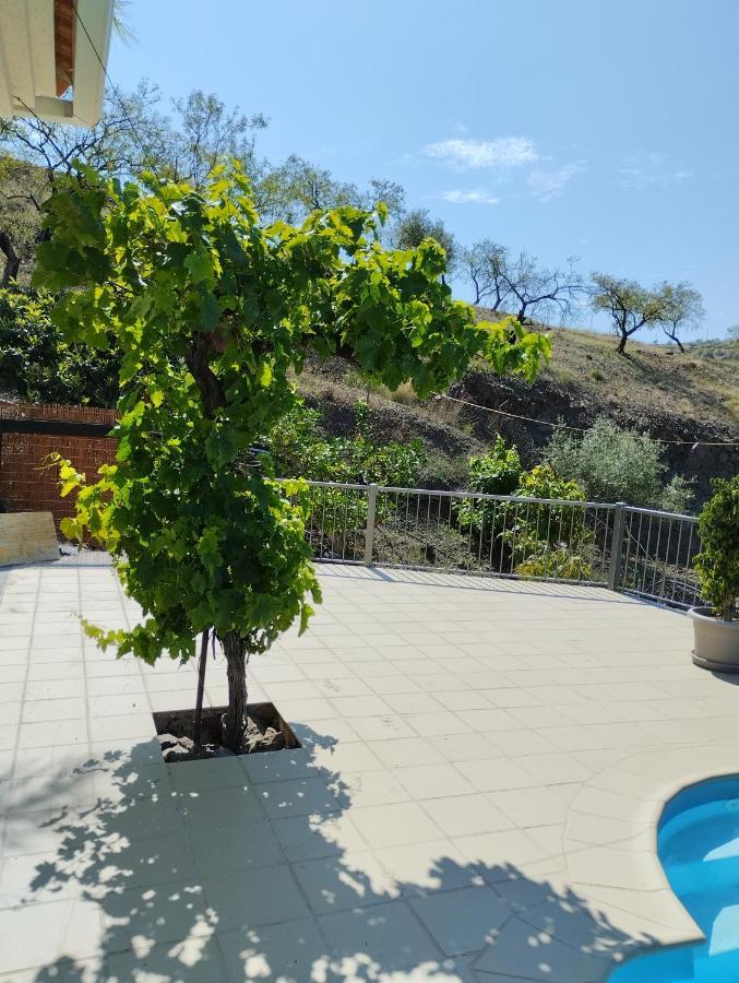 Villa Vinas Malaga