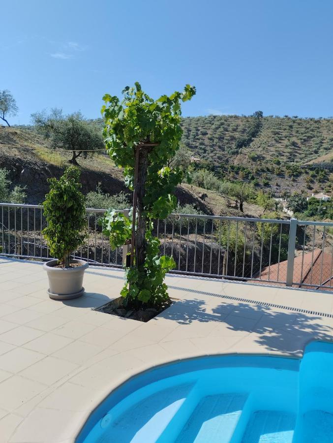 Vinas Villa Malaga