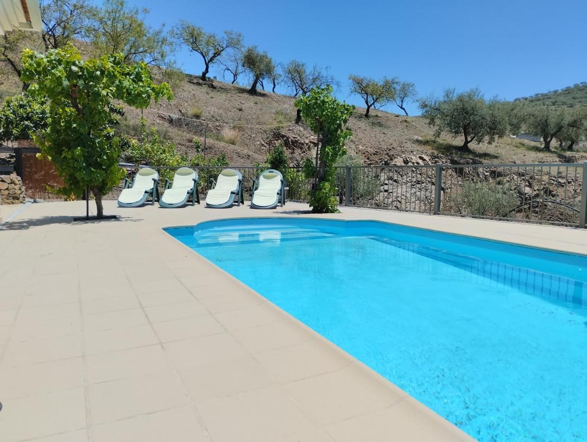 Vinas Malaga