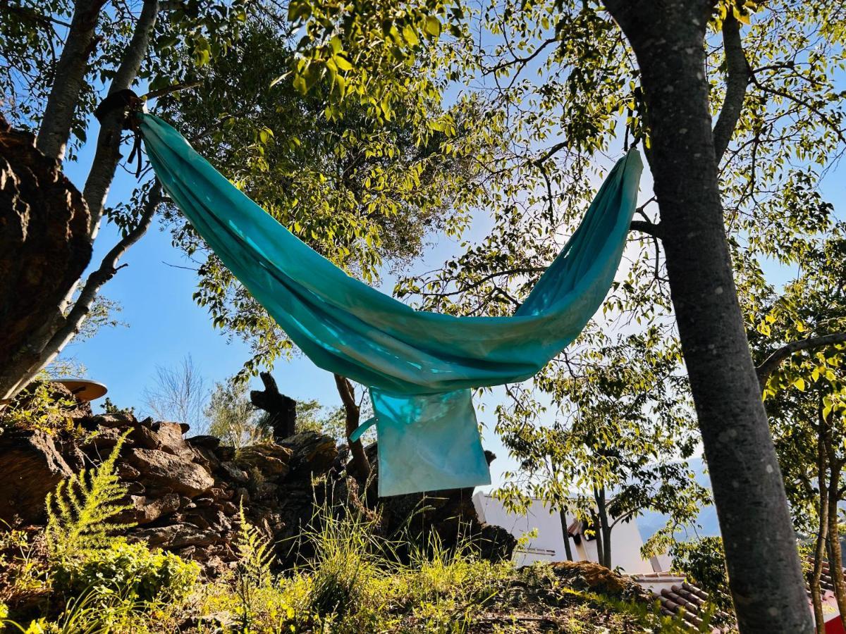 Mentirosanata Holiday home