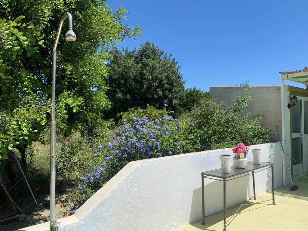 Complejo Rural Lo Arrabal Holiday home *