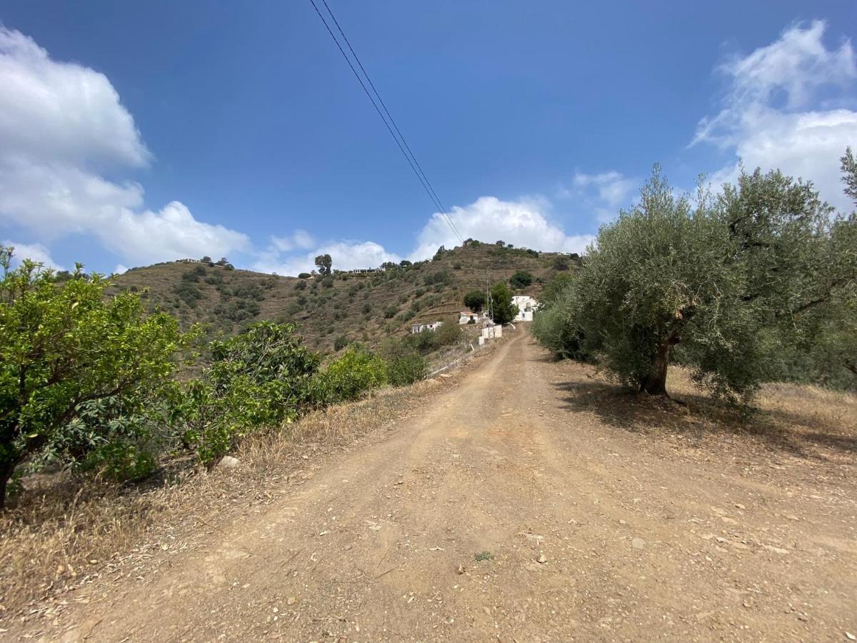Holiday home Felicidad Sayalonga Rural