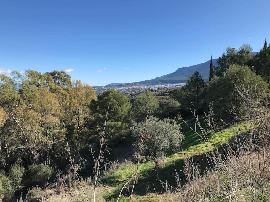 Apartamento Penthouse Apartment, Cortijo Fruitful Hills Málaga