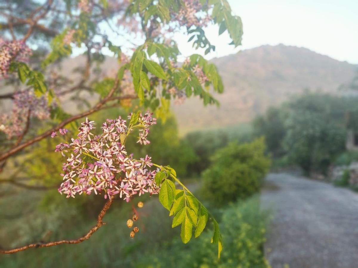 El Cortijuelo De Zalea Holiday home Malaga