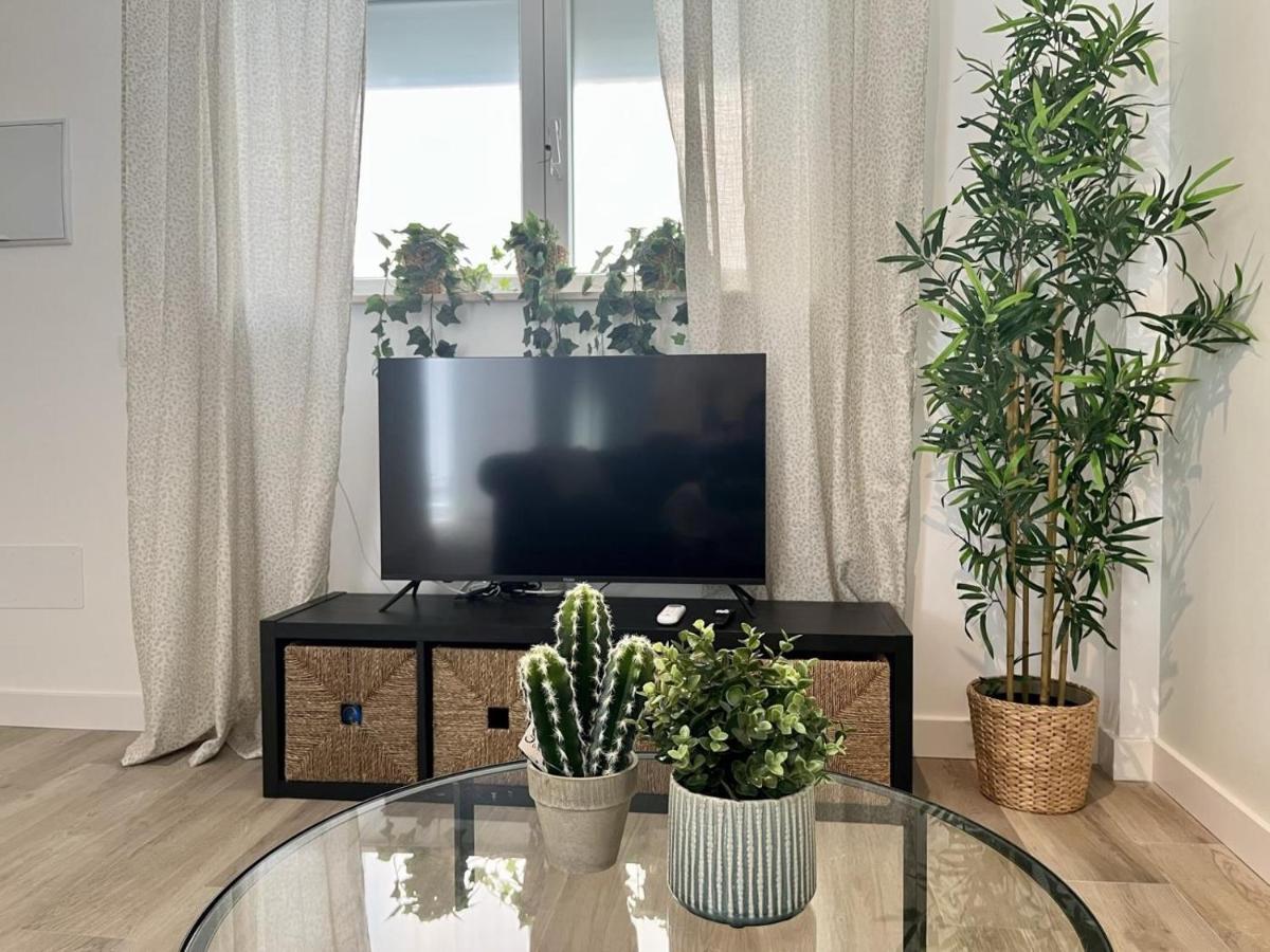 Apartment Cd-p Loft, New Charming Loft With Private Patio, Center, Quite Neighborhood