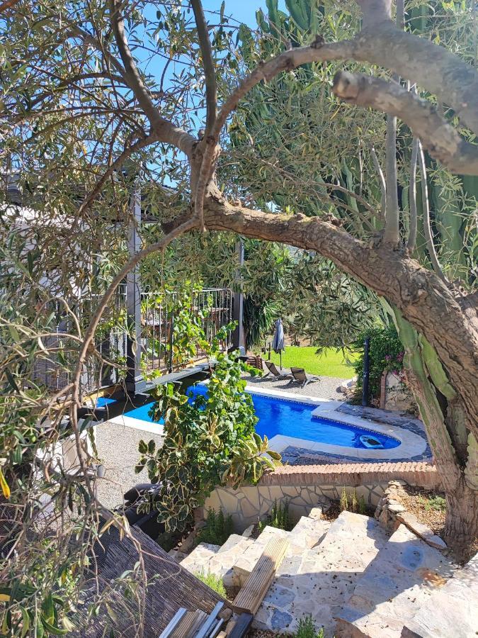 Penthouse Apartment, Cortijo Fruitful Hills Apartamento *