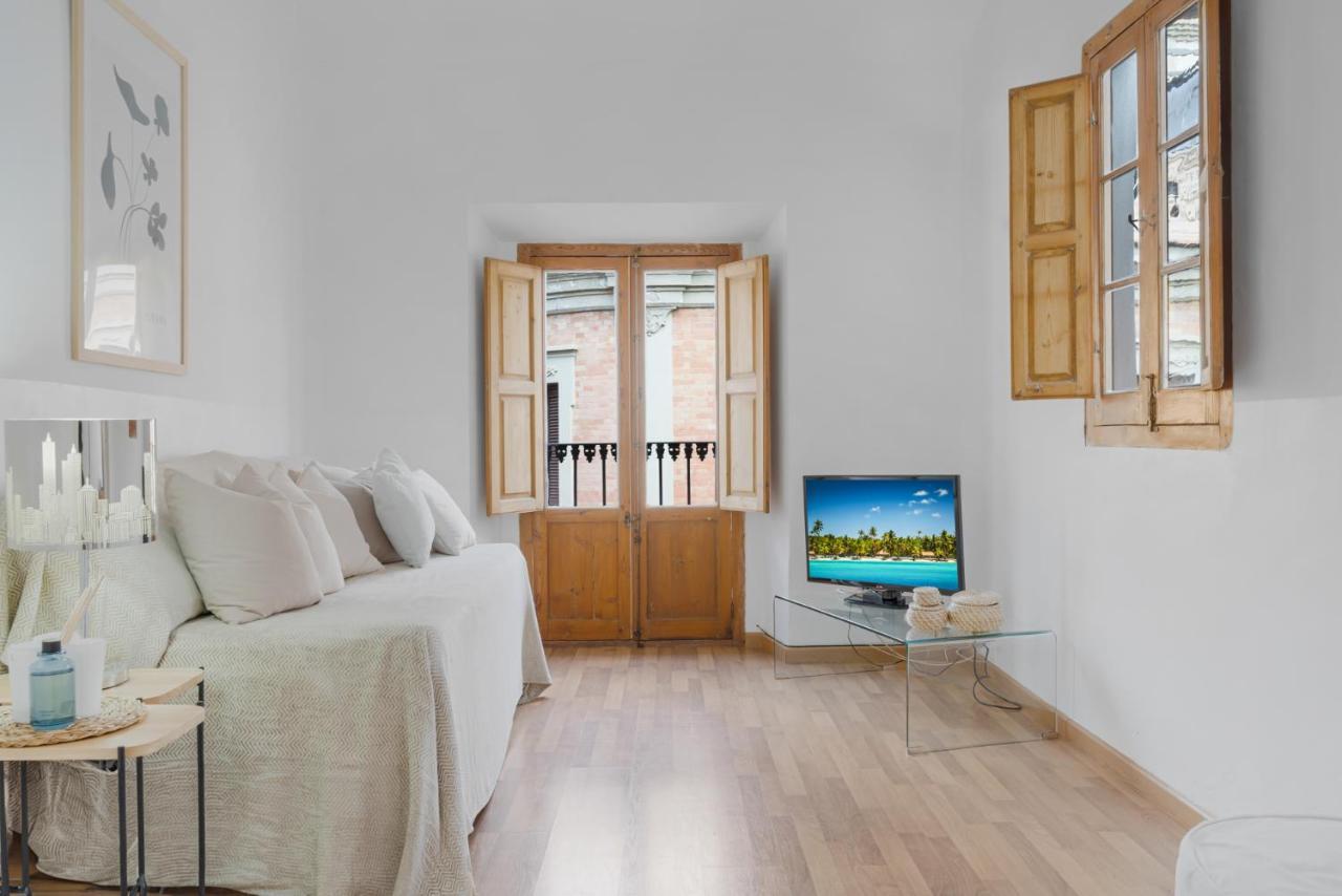 Apartment Penthouse In Historic Center By Costarentals - Mal01 Malaga