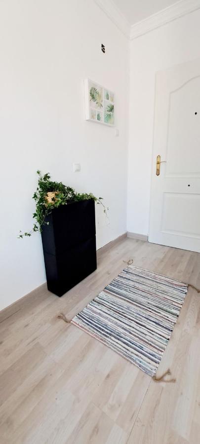 Apartment Adelfas *