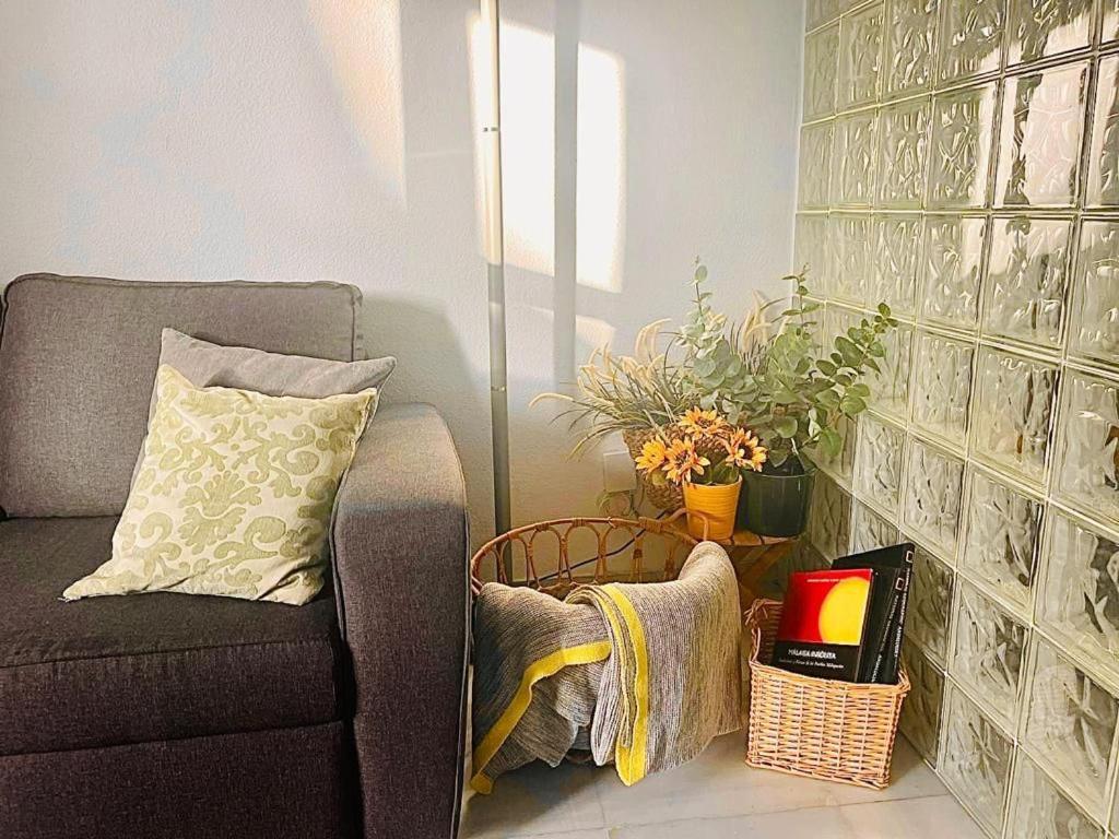 Greenhouse, Casco Historico De Appartement *
