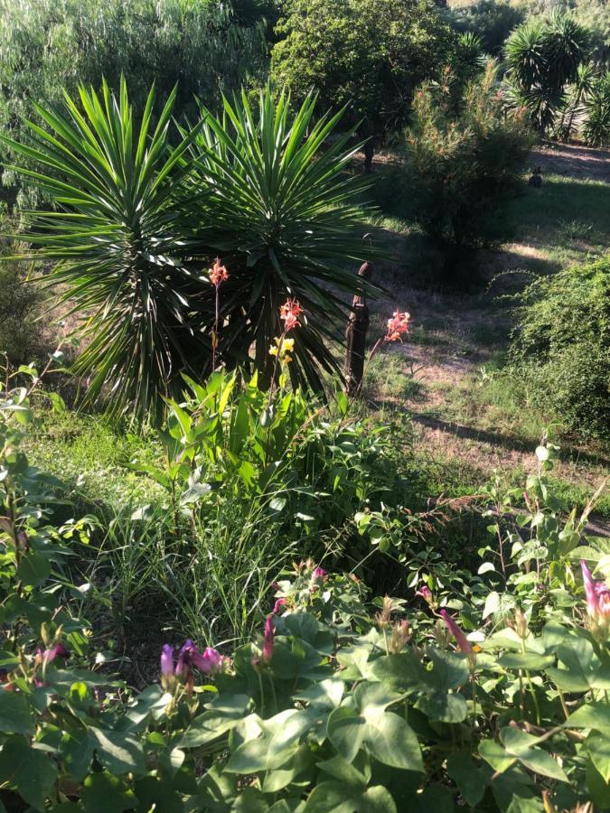 El Rio,, La Casita One Of 2 Self Catering Studios. Pool And Hydrotherapy Jacuzzi *