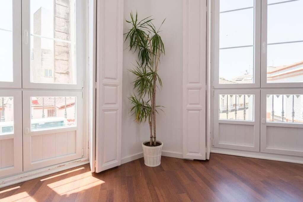 Sunny Appartement *