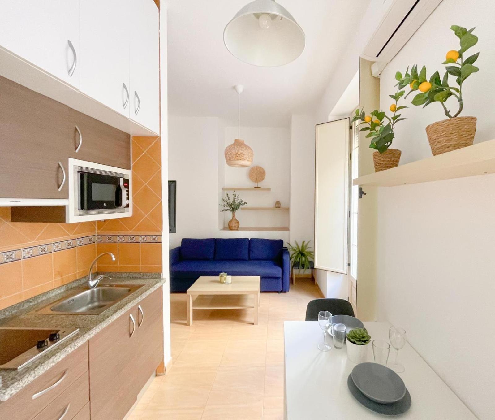 Apartment Plz De La Merced Solera Malaga