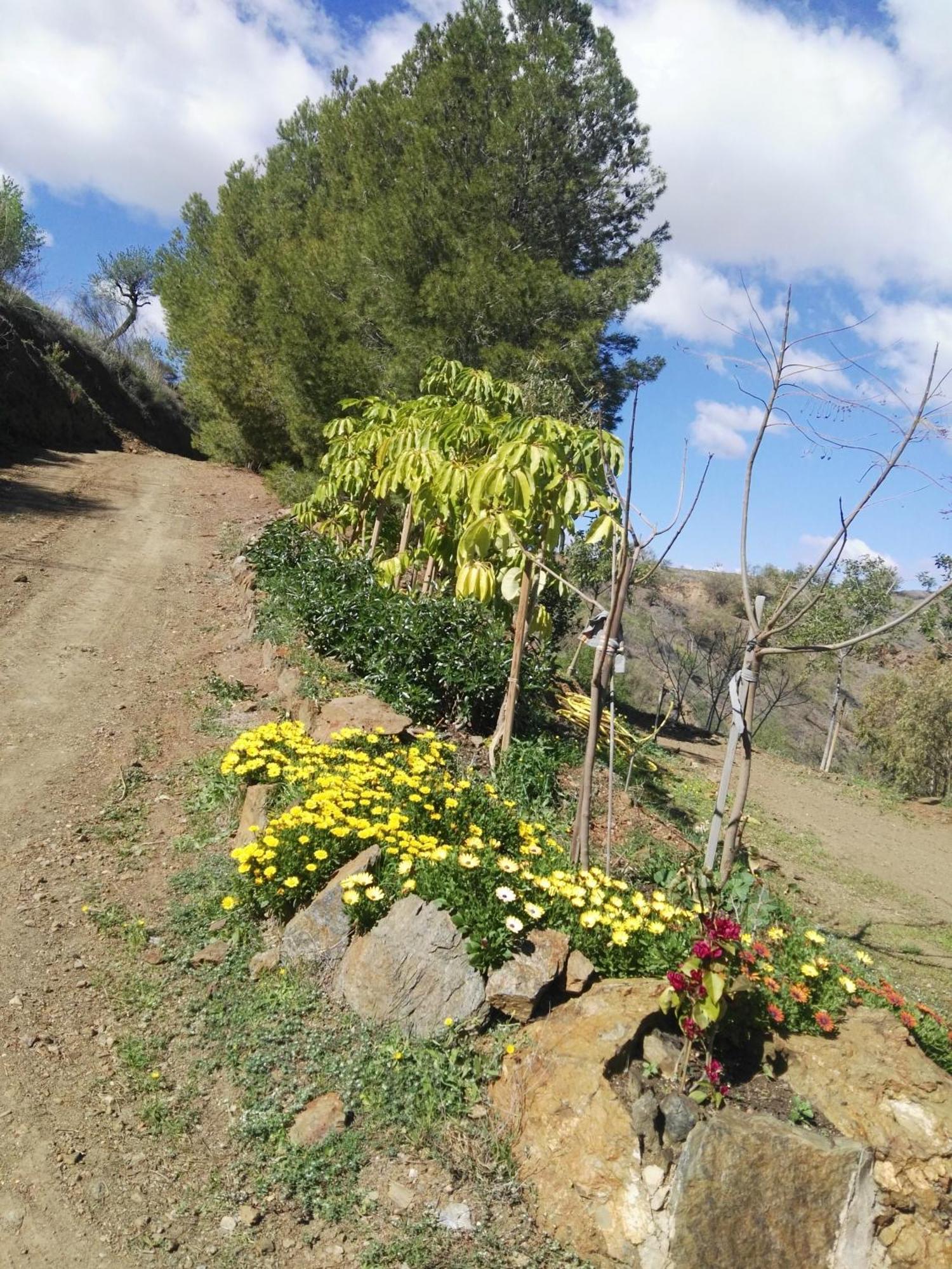 Pinar El Almendra Malaga