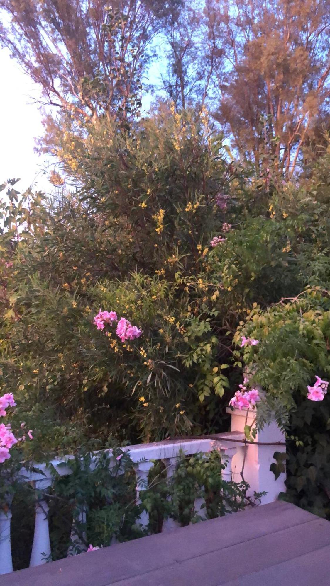 Apartment El Rio,, La Casita One Of 2 Self Catering Studios. Pool And Hydrotherapy Jacuzzi Málaga