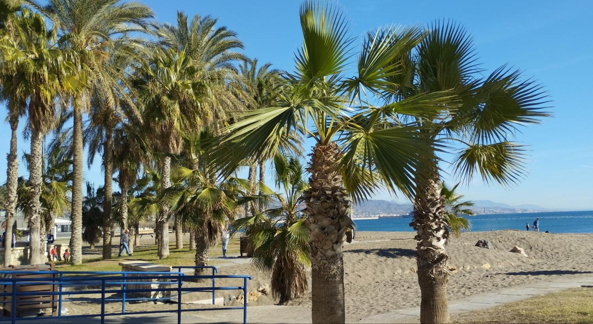 La Paloma - Giron Malaga