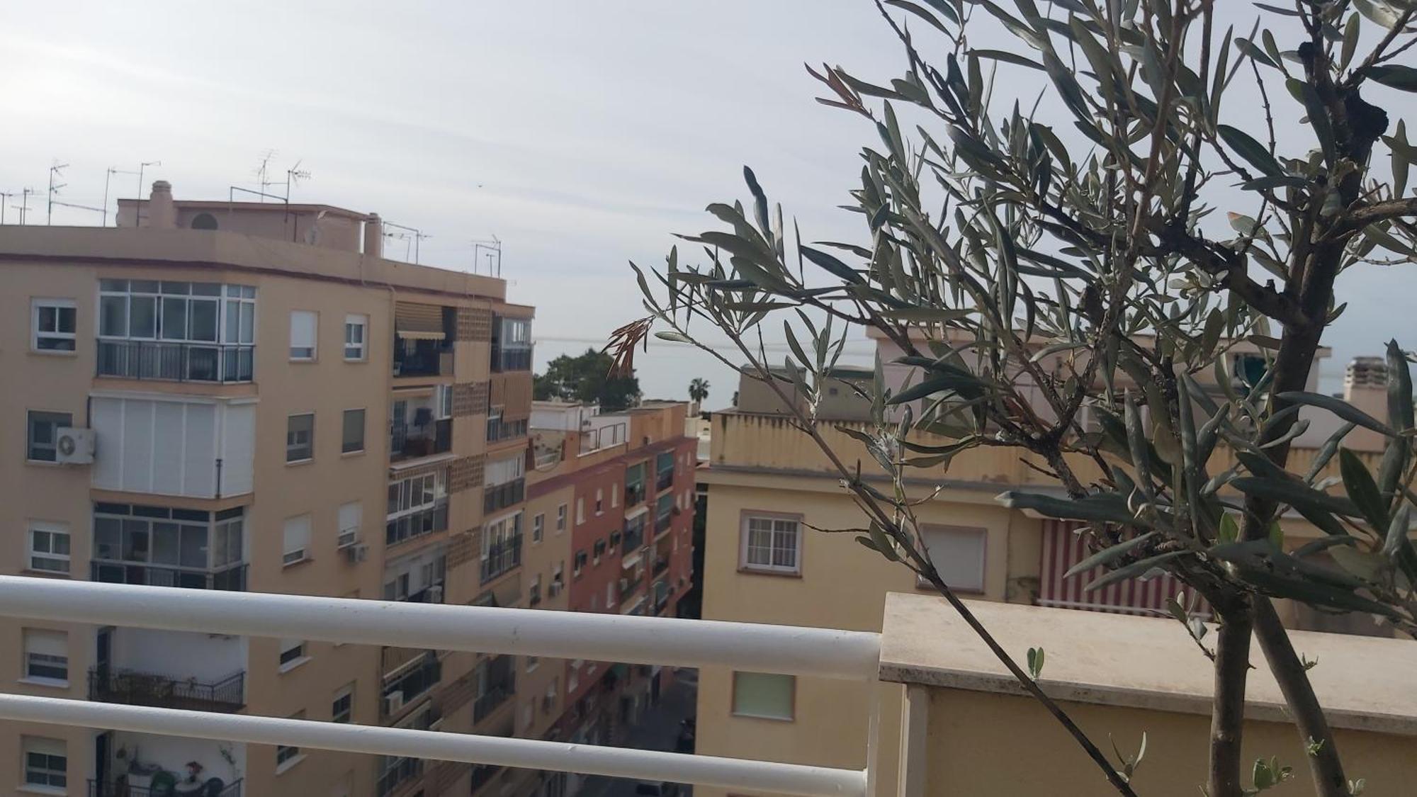 Del Parque Flats San Ignacio Penthouse