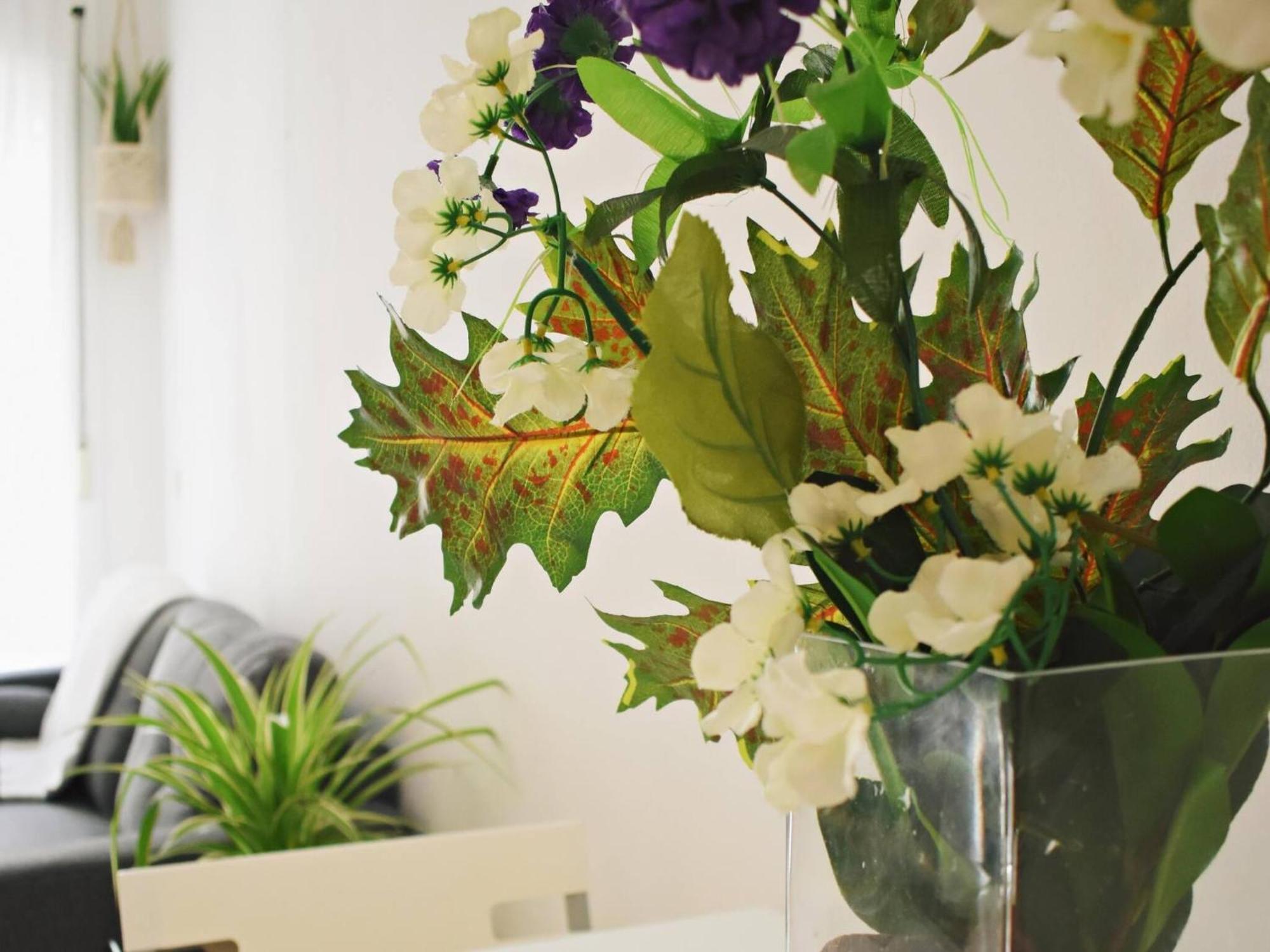 Bea's Home: Cozy On The Outskirts Of Centre Appartement *