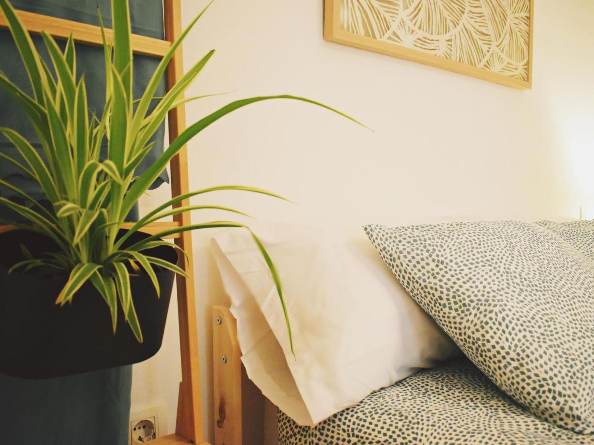 Bea's Home: Cozy On The Outskirts Of Centre Málaga