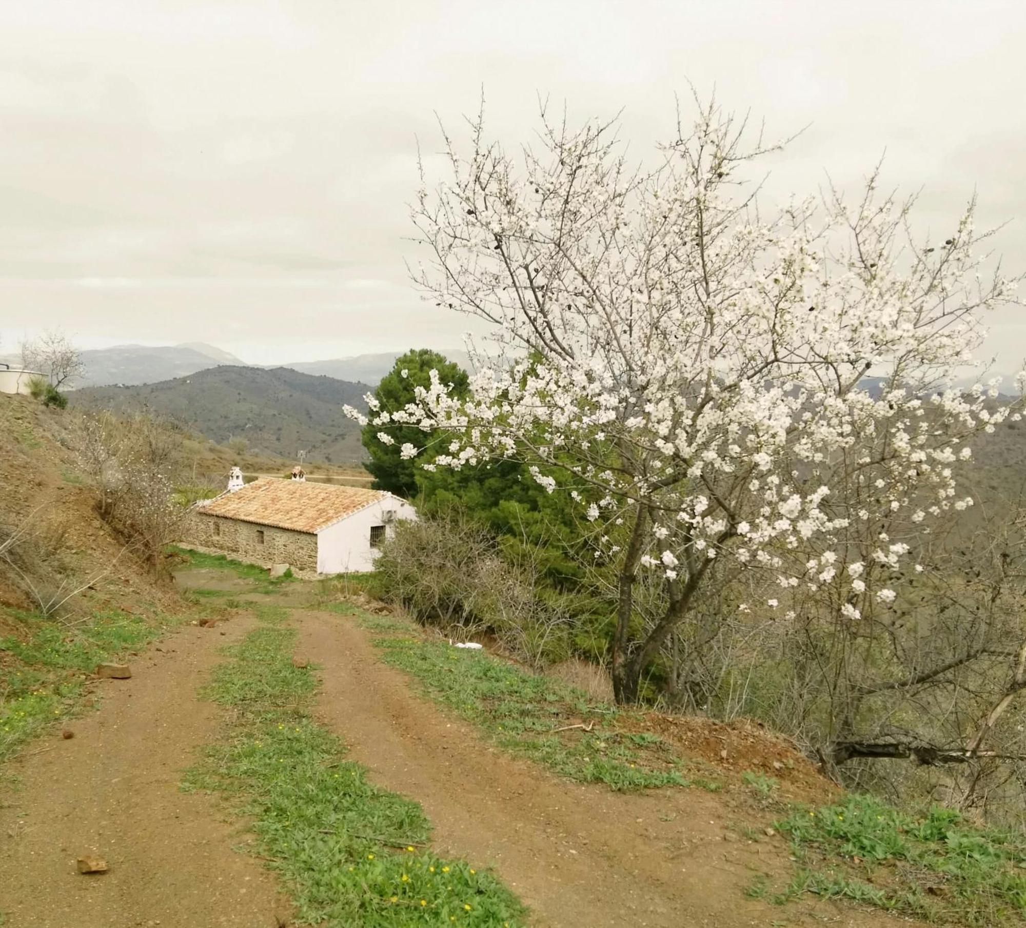 Pinar El Almendra Holiday home *