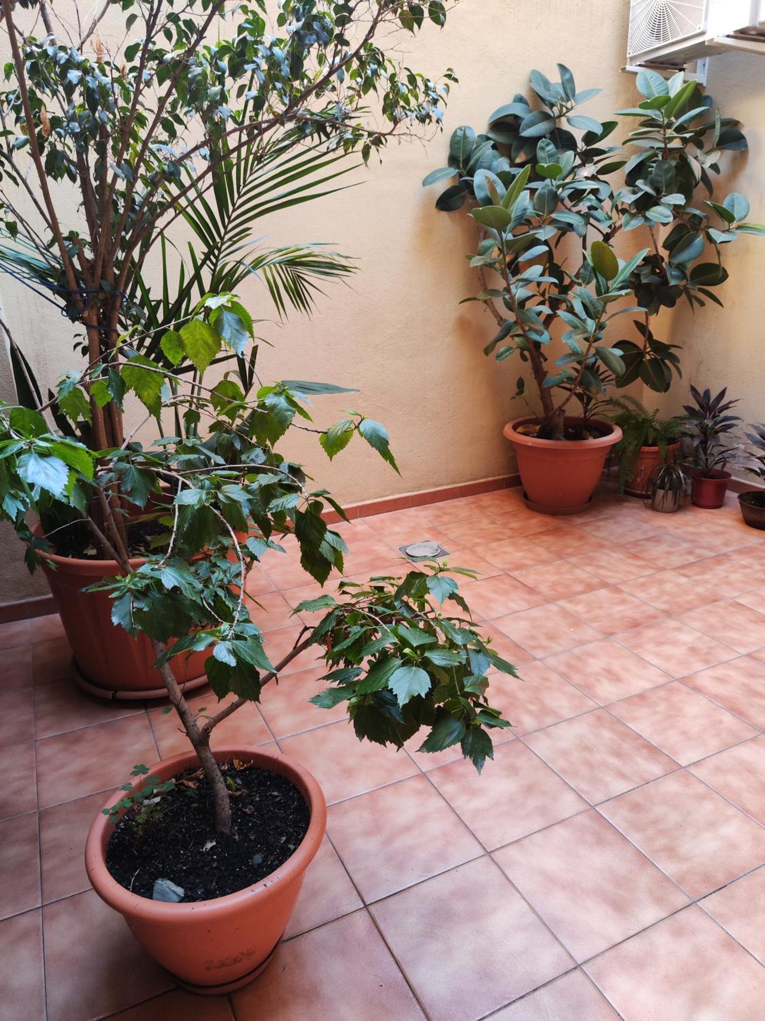 Experience Apartment Málaga