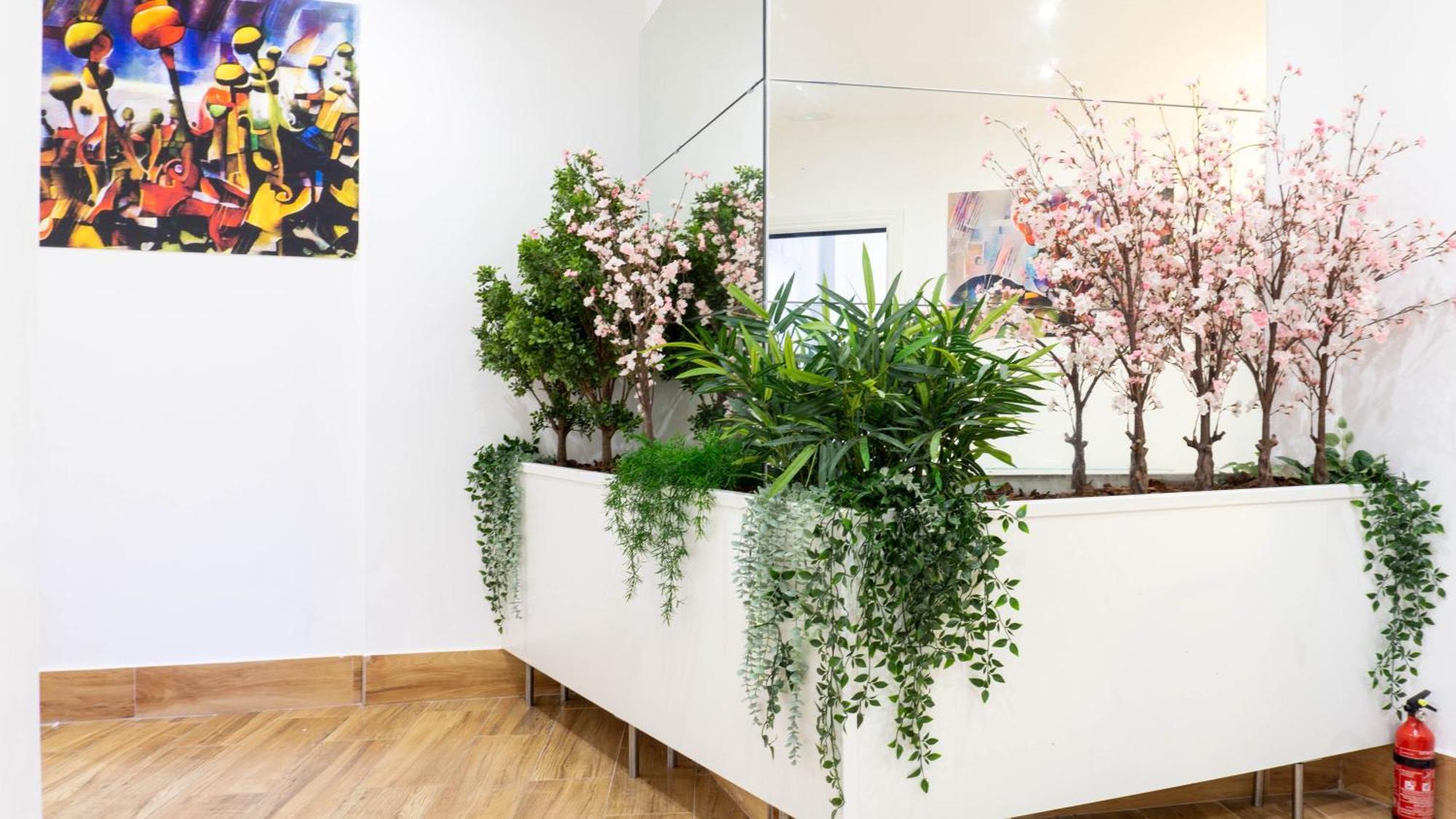 Ilustre Center Málaga