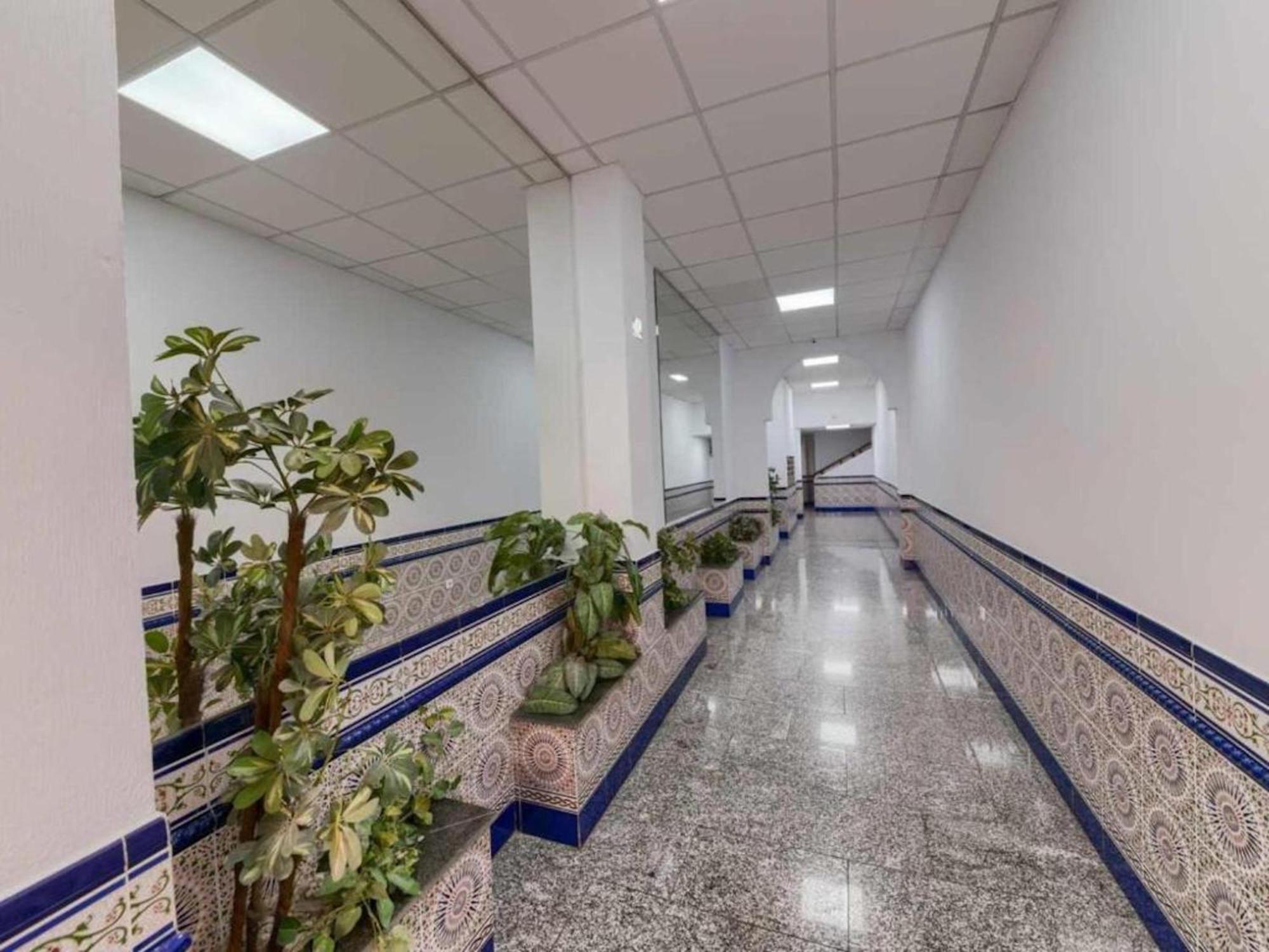 Holidays2malaga Train Station Area Apartment