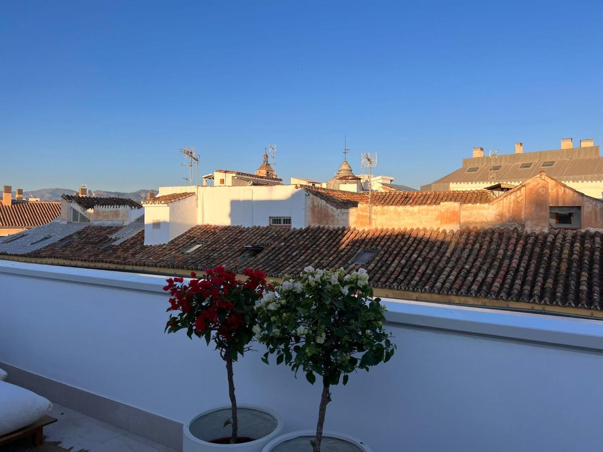 Atarazanas Suite, Atico Con Terraza Apartment Malaga
