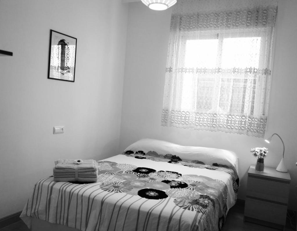 Pedestrian Historical Center, Plaza Uncibay ! Appartement *