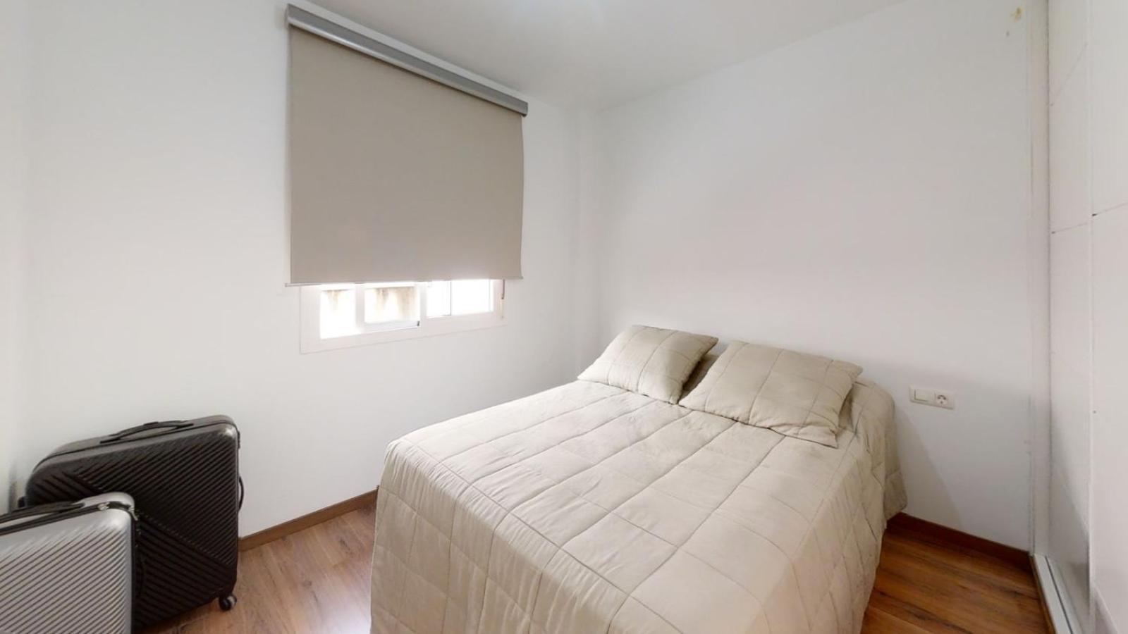 Apartment Amazing Center With 2