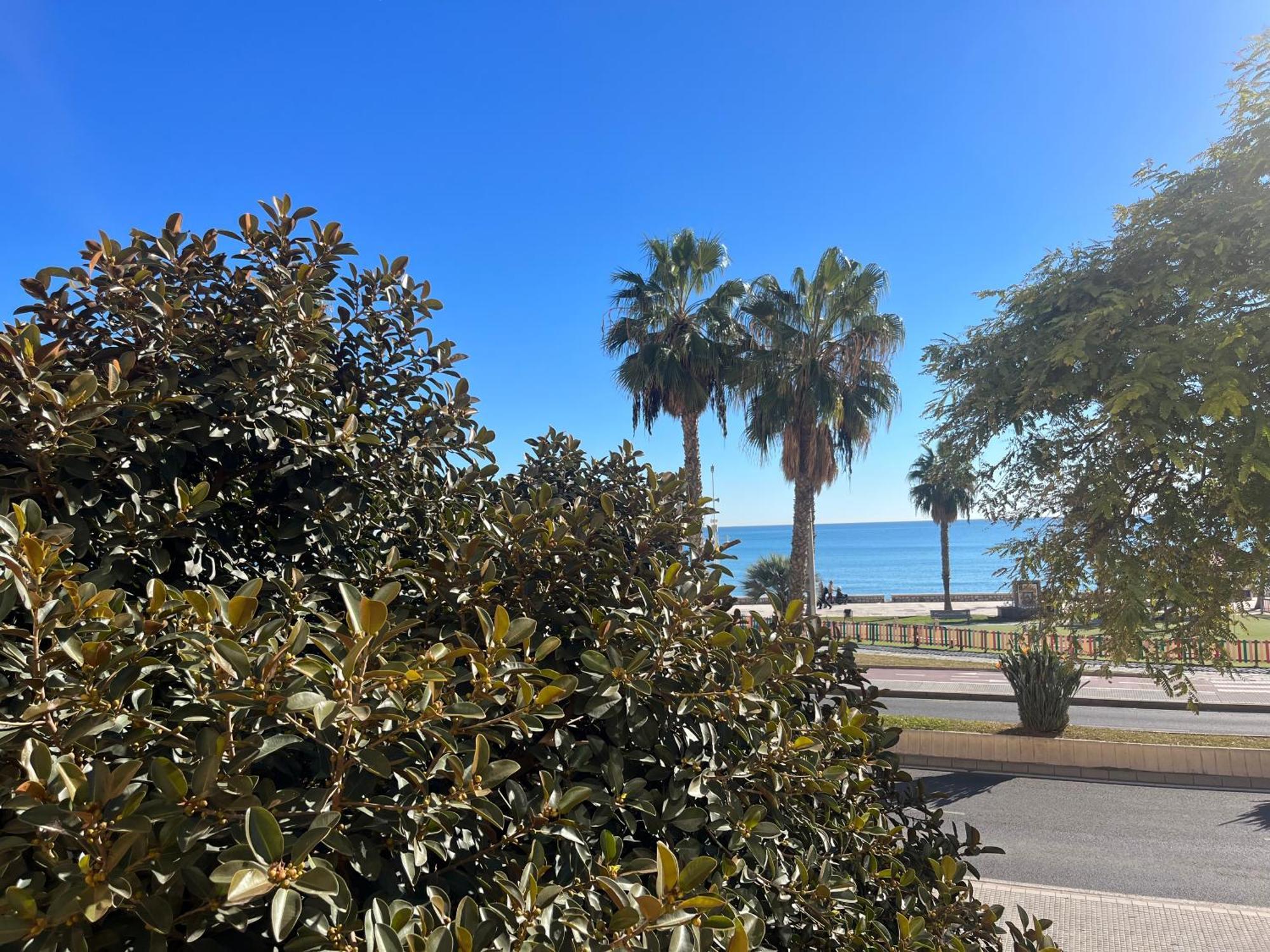 Apartment Rent4 Huelin Malaga