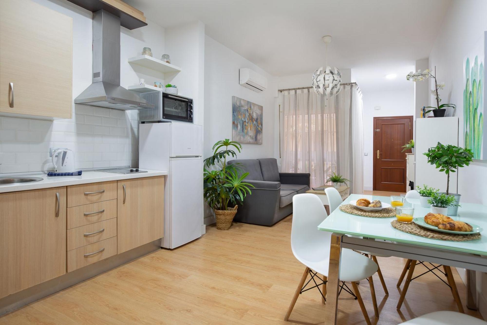 Apartment Malagaflat Center