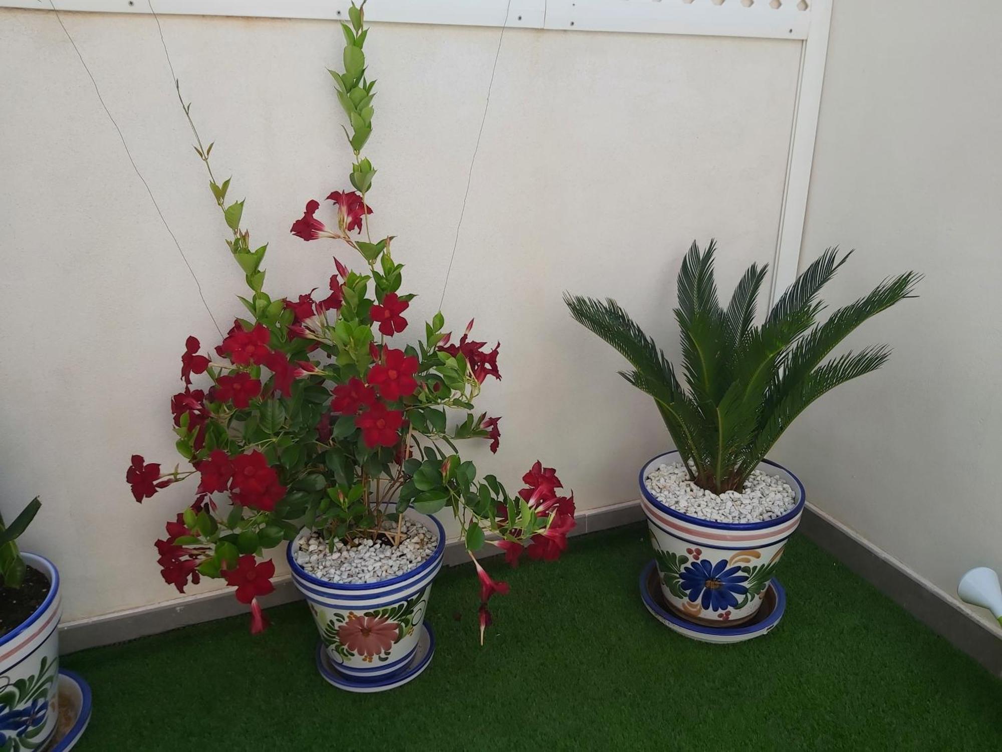 Apartamento To Be In Málaga