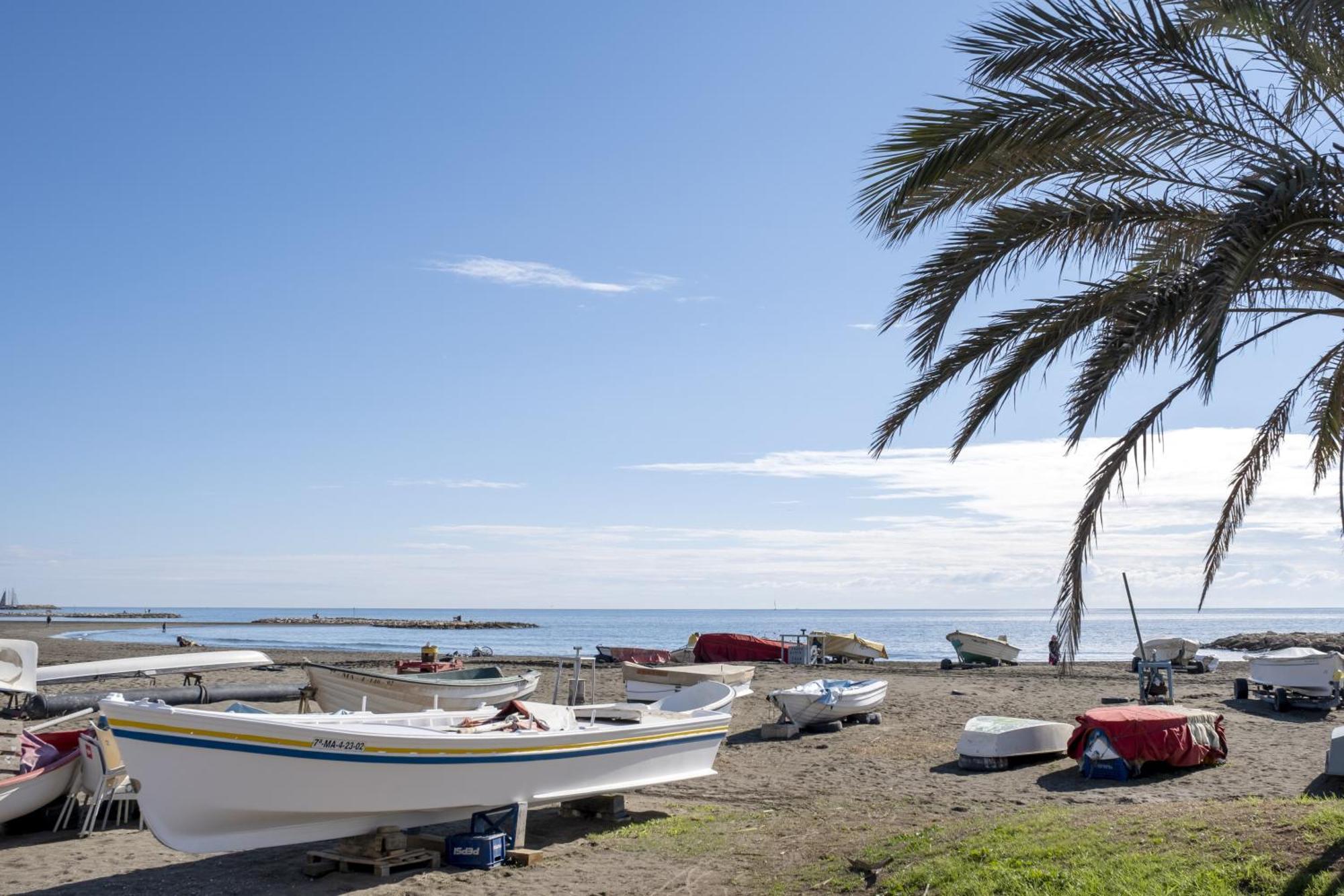 Astilla De Palo A La Orilla Del Mar