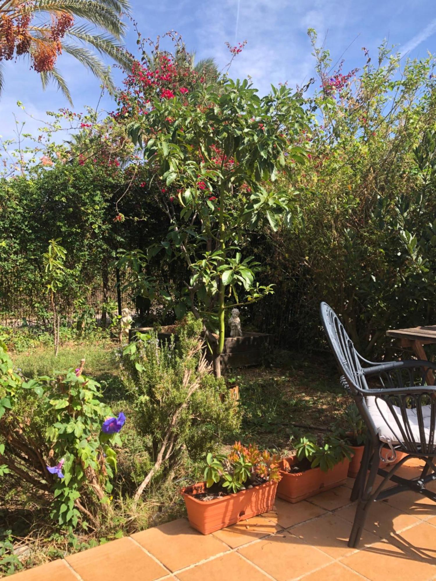 Ellies Hus Vakantiehuis *