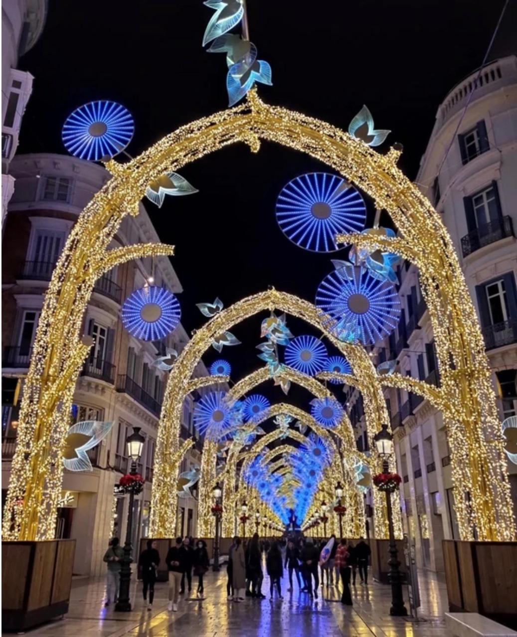 Apartment Seamed Malaga