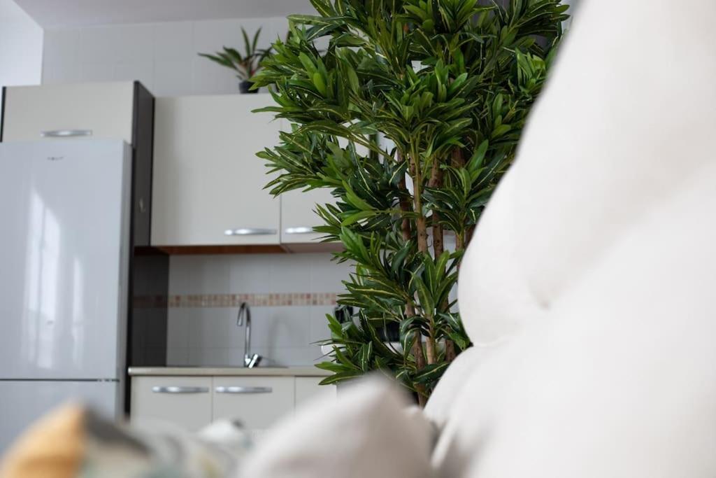 Apartment Trinidad