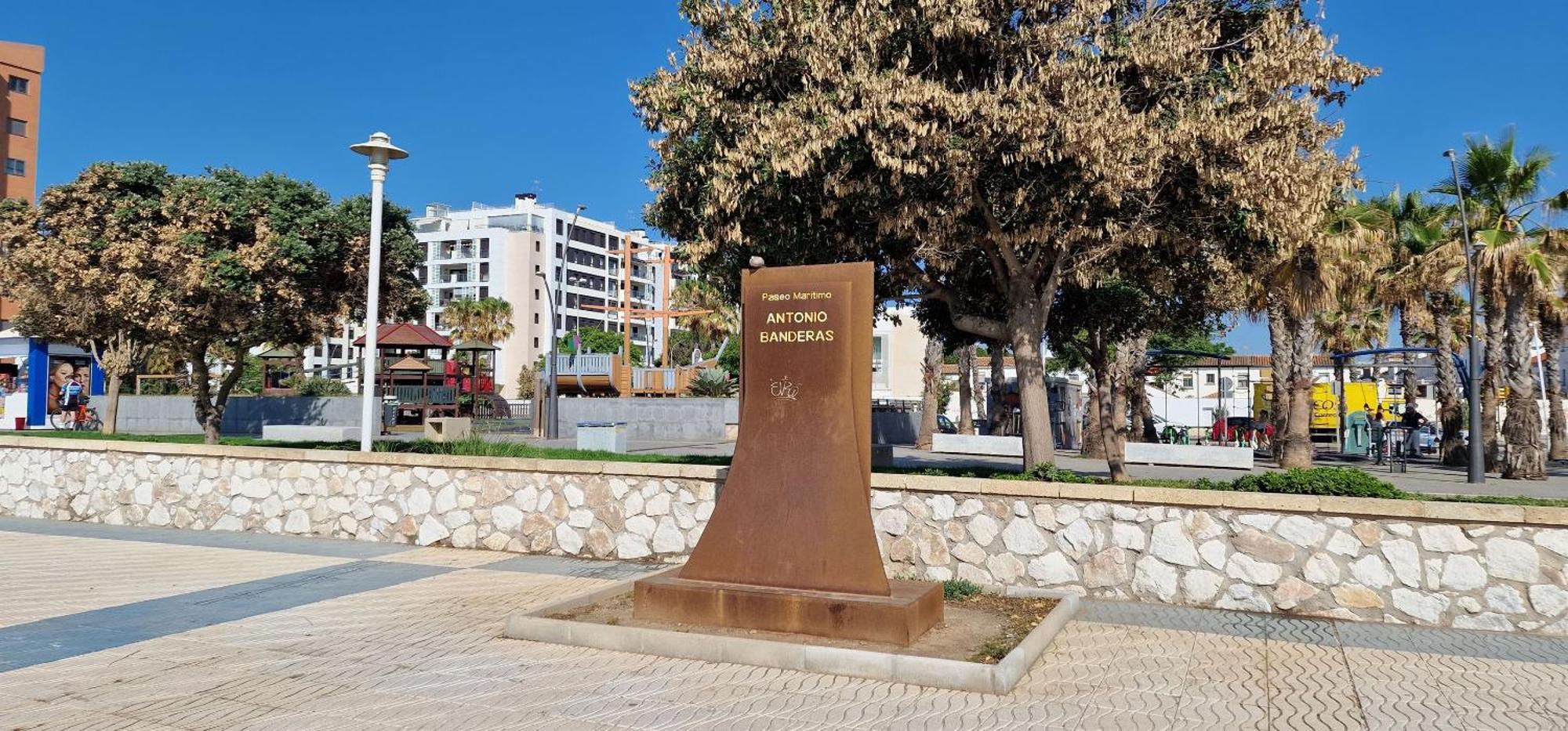 Paz Málaga