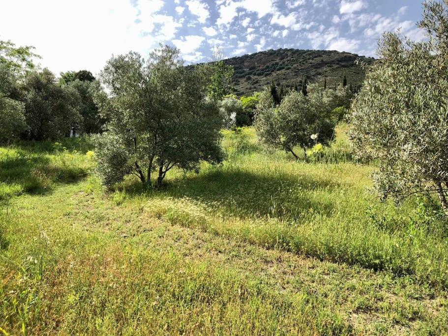 Satori, Paradise In Rural