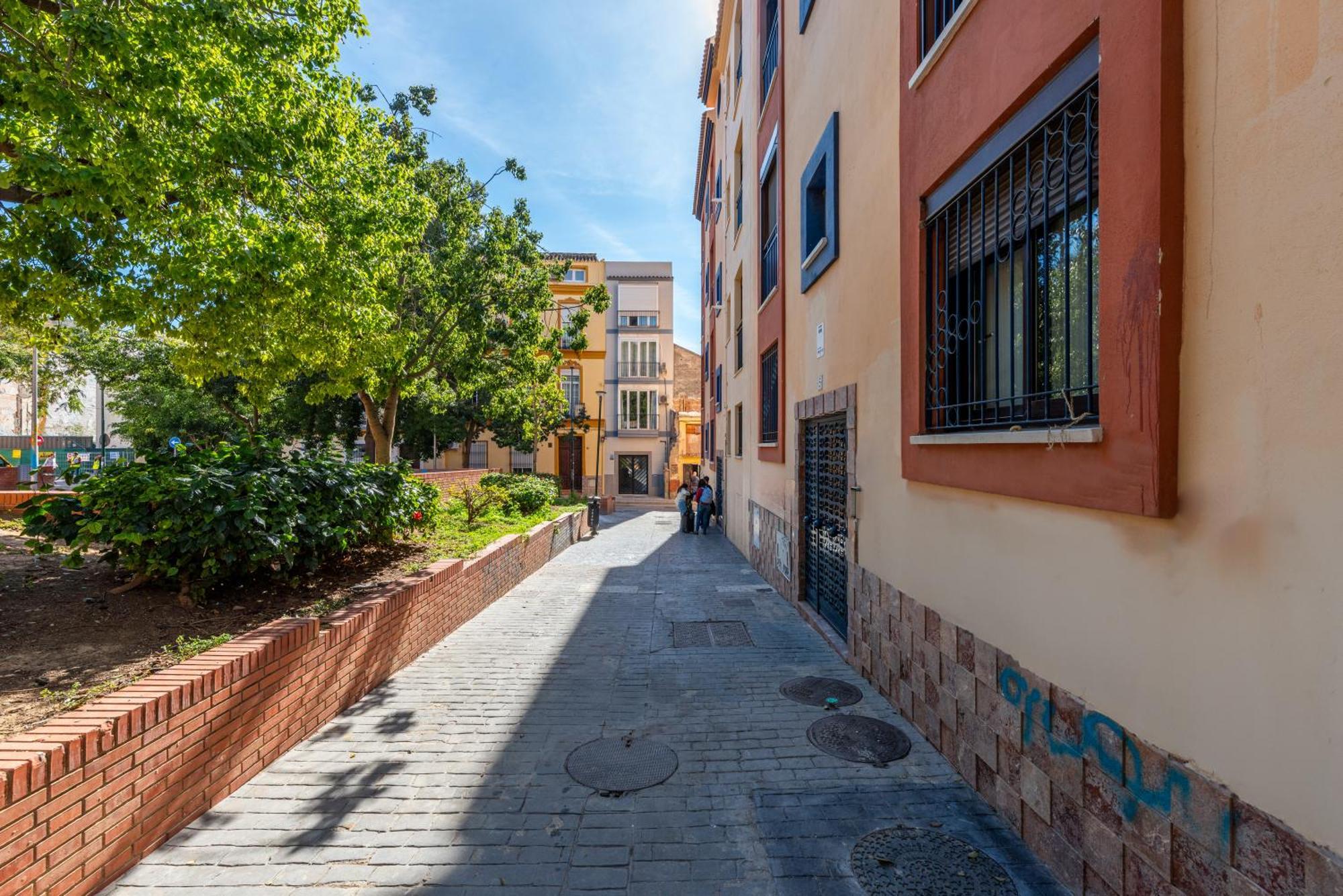 Wintowinrentals Lagunillas Ideal En Apartment Málaga